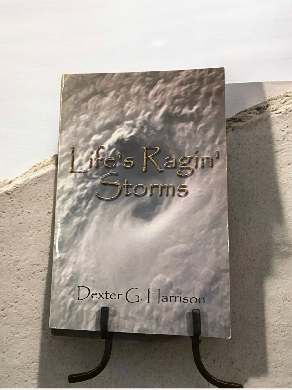 ‘Life’s Ragin’ Storms’ Soft Back Book Louisiana Theme